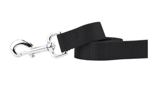 2 Hounds Nylon Leash