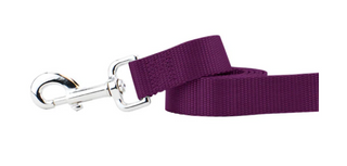 2 Hounds Nylon Leash