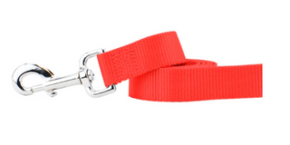 2 Hounds Nylon Leash
