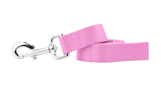 2 Hounds Nylon Leash