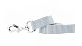 2 Hounds Nylon Leash
