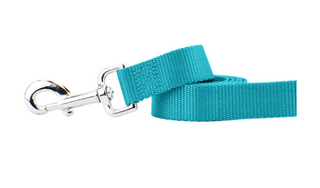 2 Hounds Nylon Leash