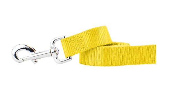 2 Hounds Nylon Leash