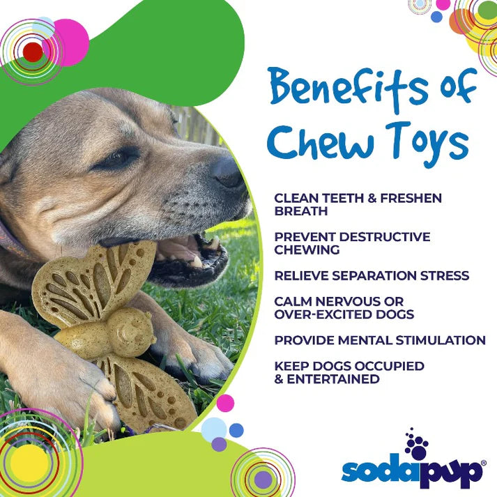 Soda Pup Nylon Butterfly Chew & Enrichment Toy