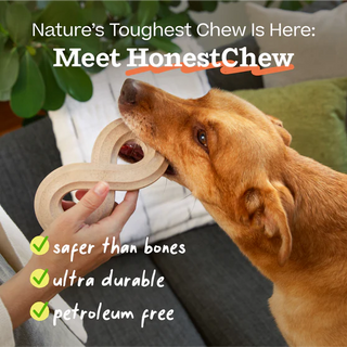 Woof HonestChew Antler Bone