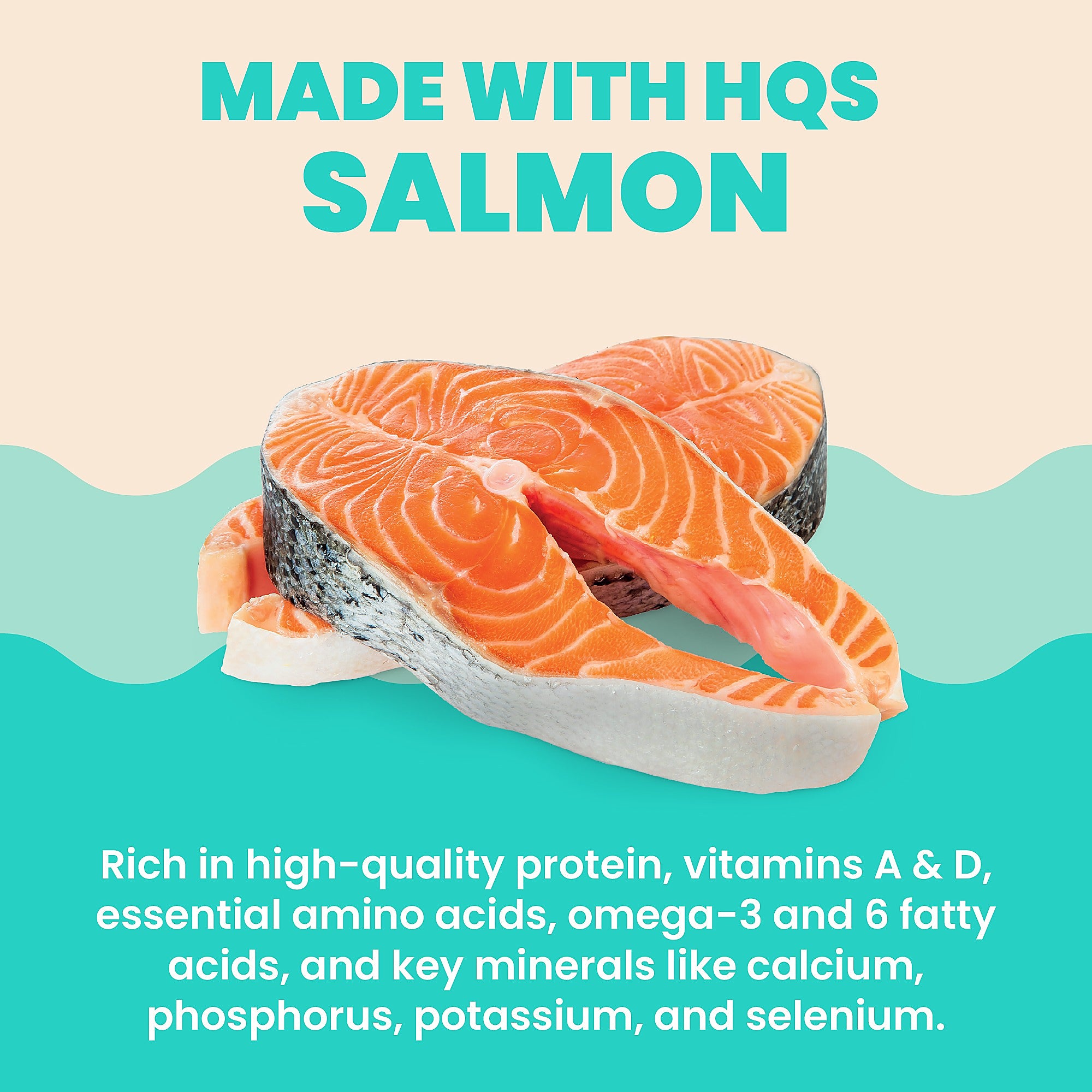 Almo Nature Hydration Help Salmon in Broth