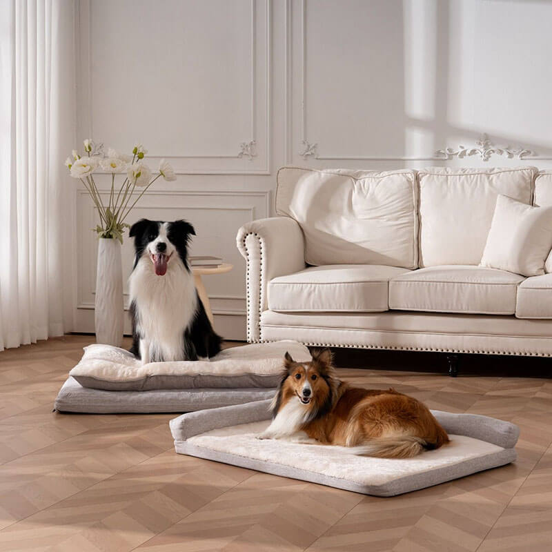 Territory Orthopedic Pillow Top Dog Bed Khaki