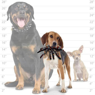 Tuffy® Desert Spider