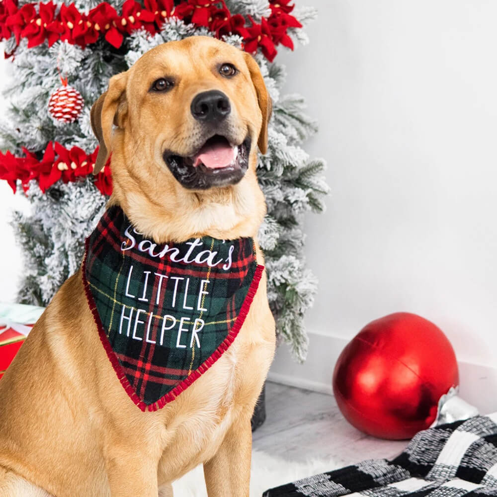 Pearhead Santa's Little Helper Bandana