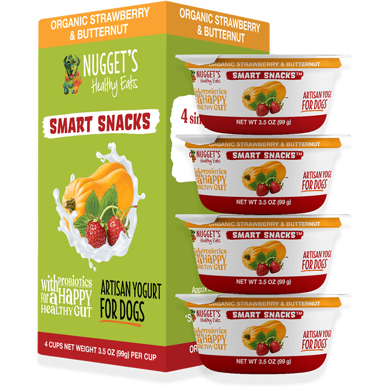 Nugget's Smart Snacks Artisan Frozen Yogurt Strawberry DISCONTINUED