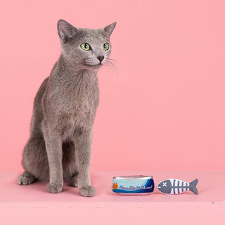Fringe Studio  Tuna Right Meows Cat Toy Set