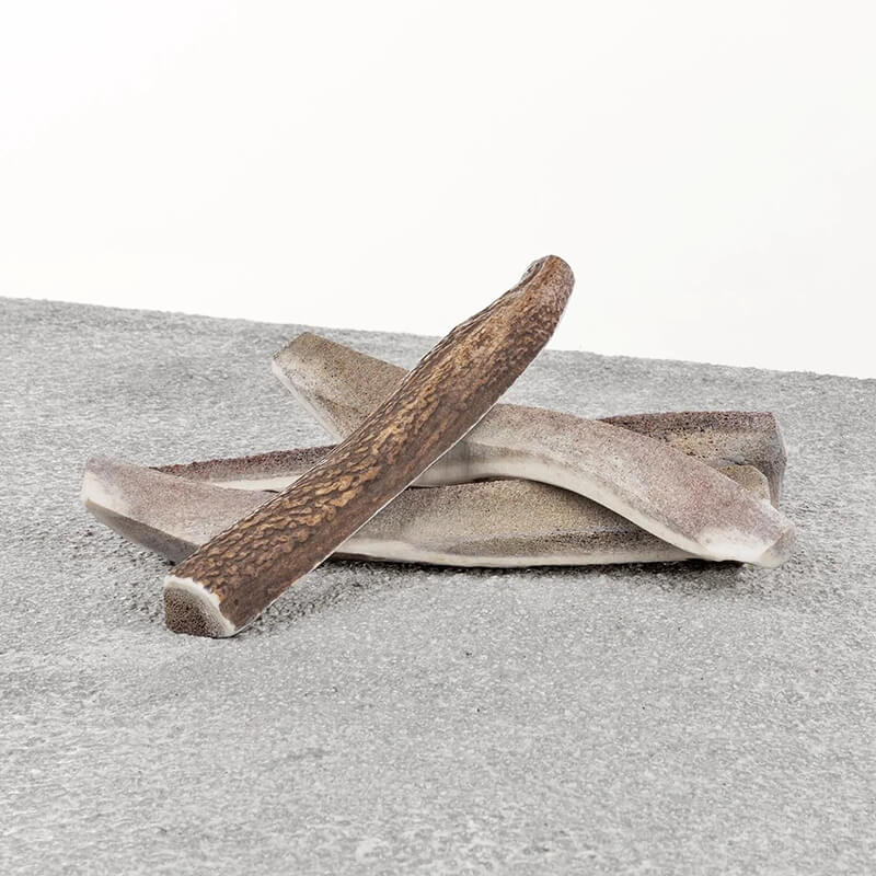 Primal Deer Antler