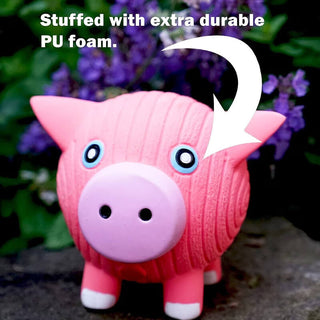 HuggleHounds Ruff-Tex Hamlet Pig