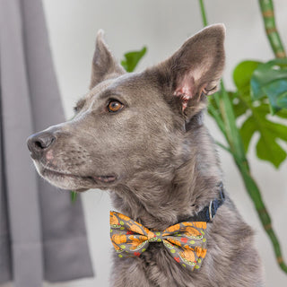 Huxley & Kent Turkey Dinner Bow Tie