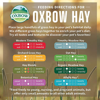 Oxbow Botanical Hay 15 oz