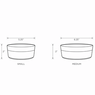 Park Life Designs Hugo Pet Bowl