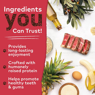 Earth Animal No-Hide Beef Chews