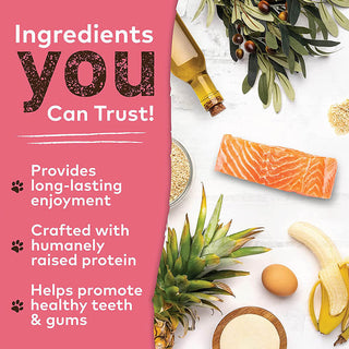 Earth Animal No-Hide Salmon Sticks