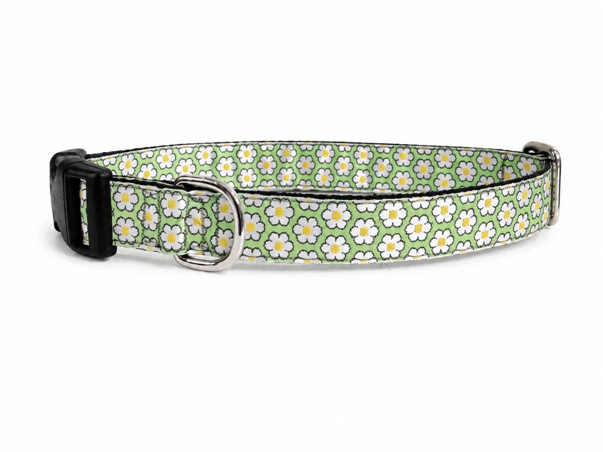 Mackenzie Leash Dainty Daisy Green