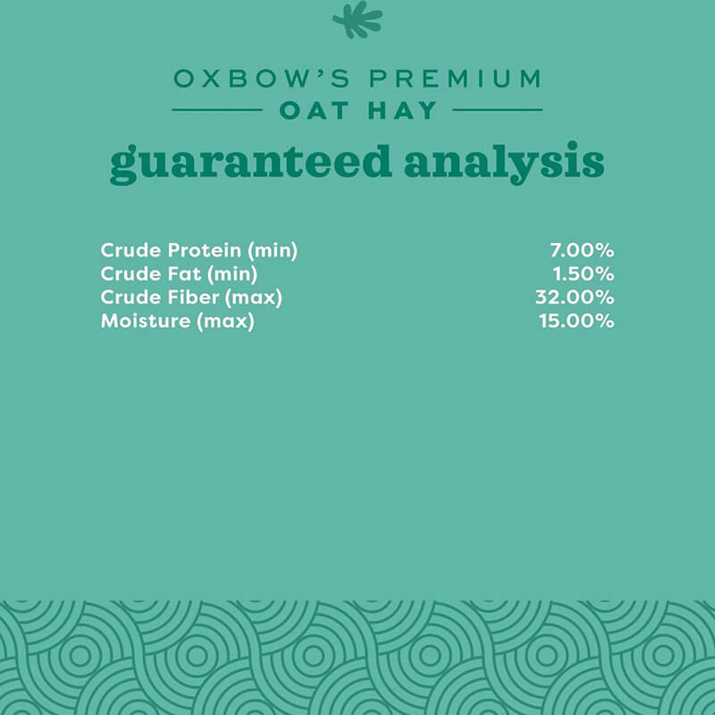Oxbow Oat Hay 15 oz