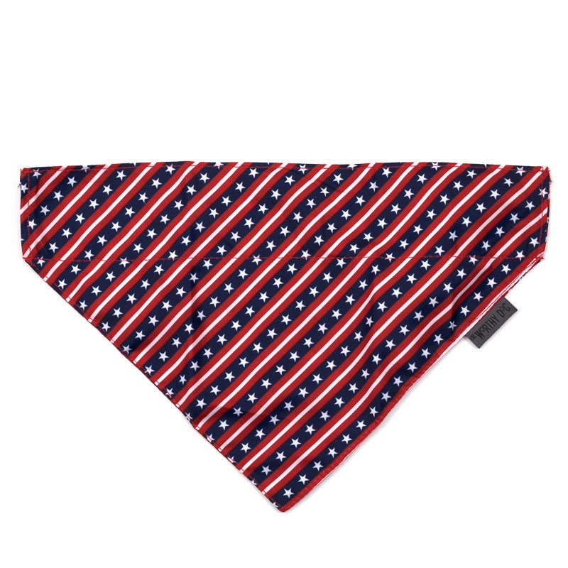 Worthy Dog Bandana