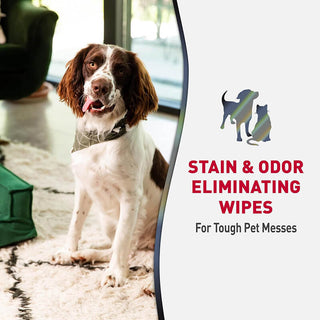 Nature's Miracle Advanced Stain and Odor Remover Wipes