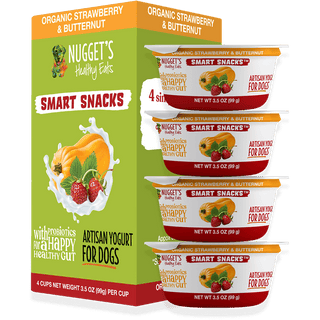 Nugget's Smart Snacks Artisan Frozen Yogurt Strawberry DISCONTINUED