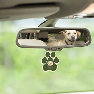One Fur All Pet House Car Freshener - Pumpkin Spice Pumpkin Spice