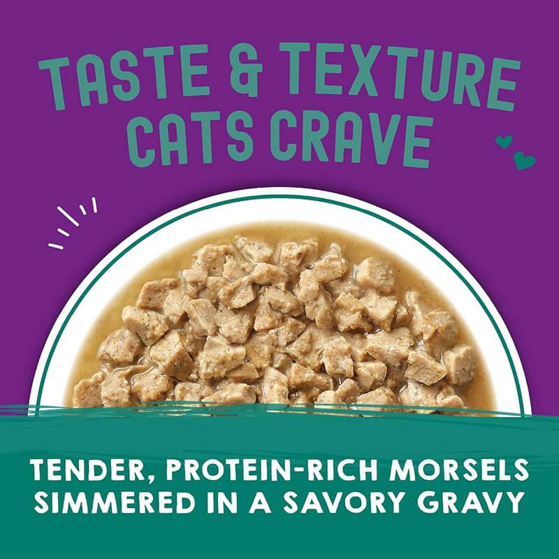 Stella & Chewy's Carnivore Cravings Pouch Salmon & Mackerel in Gravy