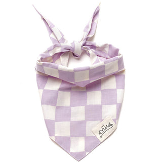 The Paws Bandana - Bishop