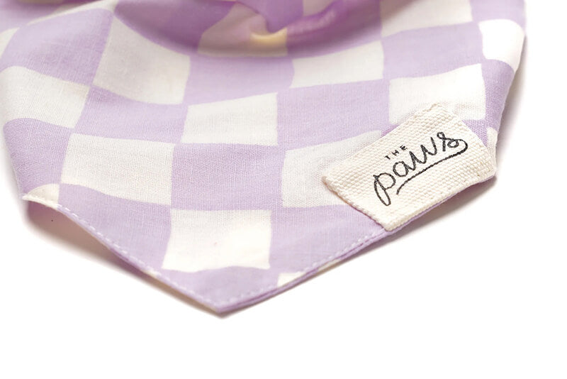 The Paws Bandana - Bishop