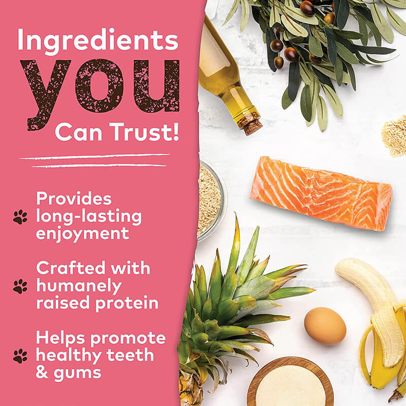 Earth Animal No Hide Salmon Chews