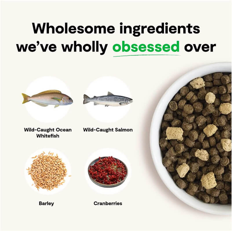 Open Farm RawMix Wild Ocean With Ancient Grains