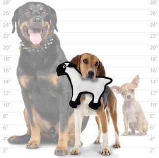 Tuffy® Barnyard	Sheep