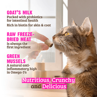 Rawz Freeze-Dried Venison & Goat Milk Treat