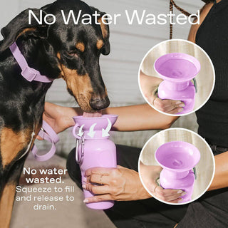 Springer Mini Dog Water Travel Bottle