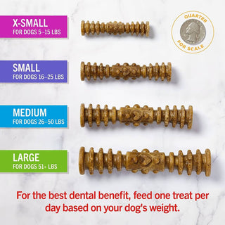 Stella & Chewy's Dental Delights Medium
