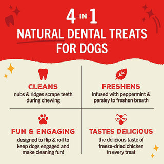 Stella & Chewy's Dental Delights Small
