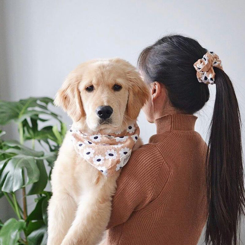 The Paws Fun Scrunchies - Ziggy