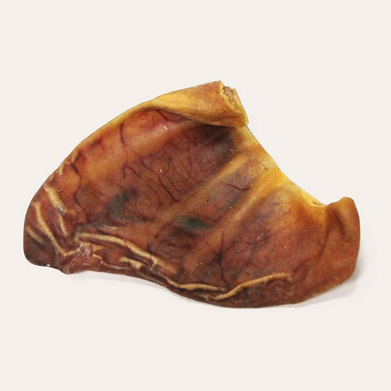 Pig Ear