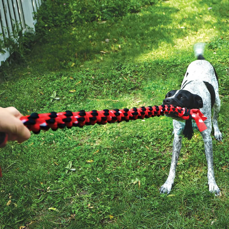 Kong Signature Rope Double Tug 22"