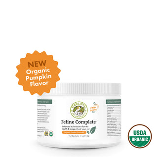 Wholistic Pet Organics Feline Complete Pumpkin