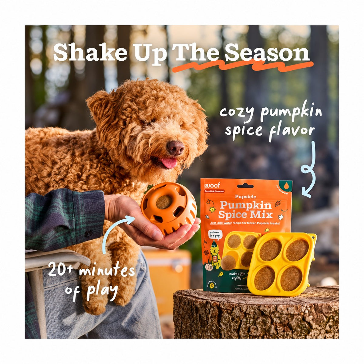 Woof Pumpkin Spice Pupsicle Mix
