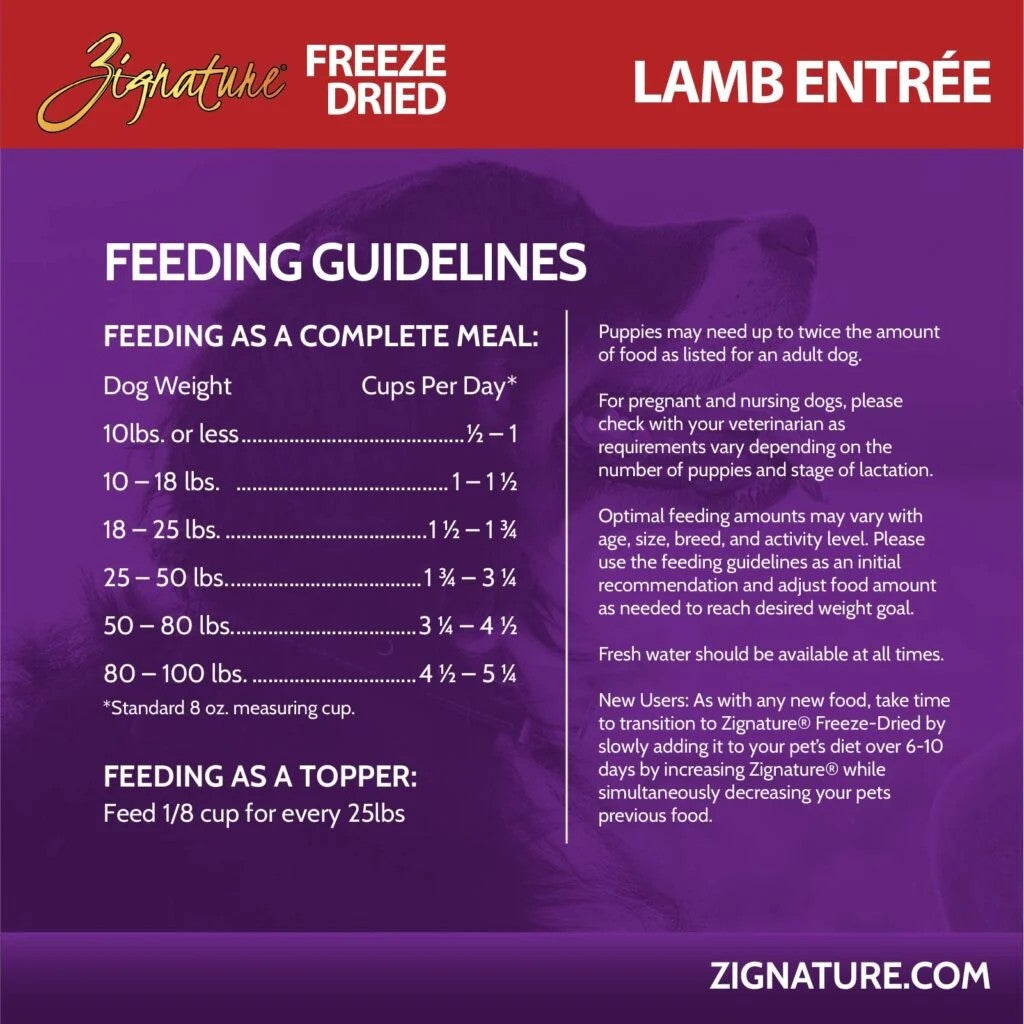 Zignature Freeze-Dried Lamb