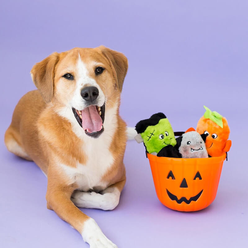 Zippy Paws Halloween Buddies 3-Pack