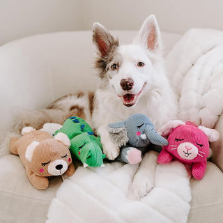 Zippy Paws Snooziez Alligator with Shhqueaker