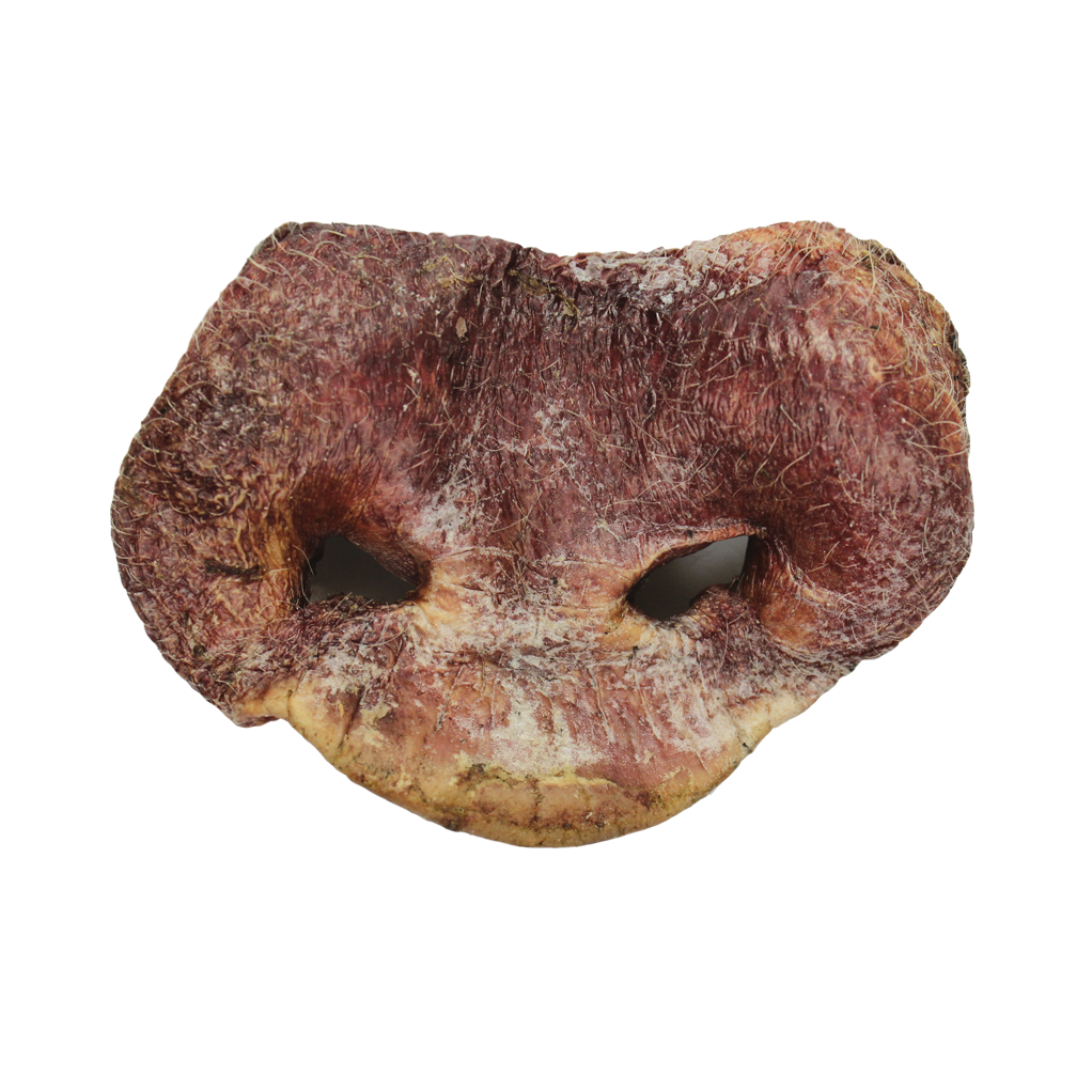 Vital Essential Raw Bar Freeze Dried Pig Snouts