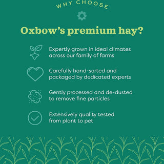 Oxbow Oat Hay 15 oz