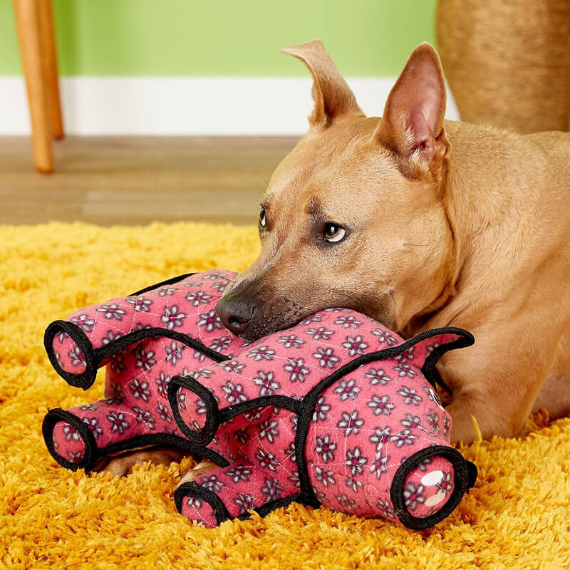 Tuffy® Barnyard	Pig