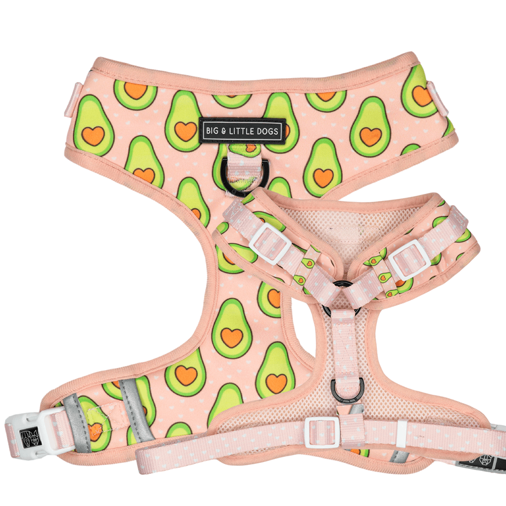 Big and Little Dogs Adjustable Harness:  Let's Avo Cuddle